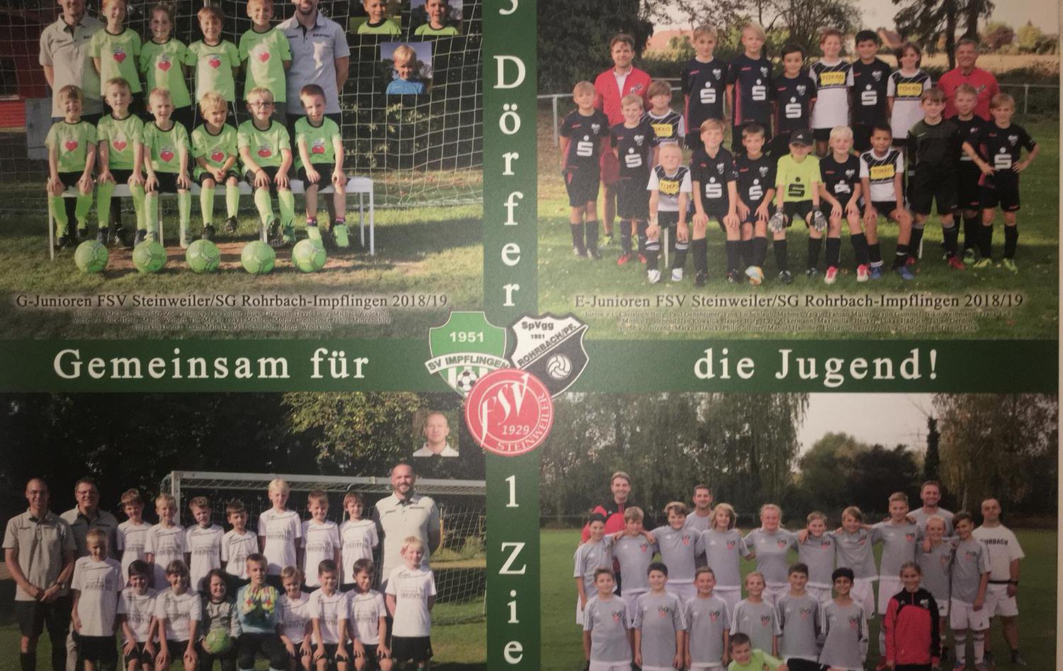 Organisation Dachsanierung Glucksbringer